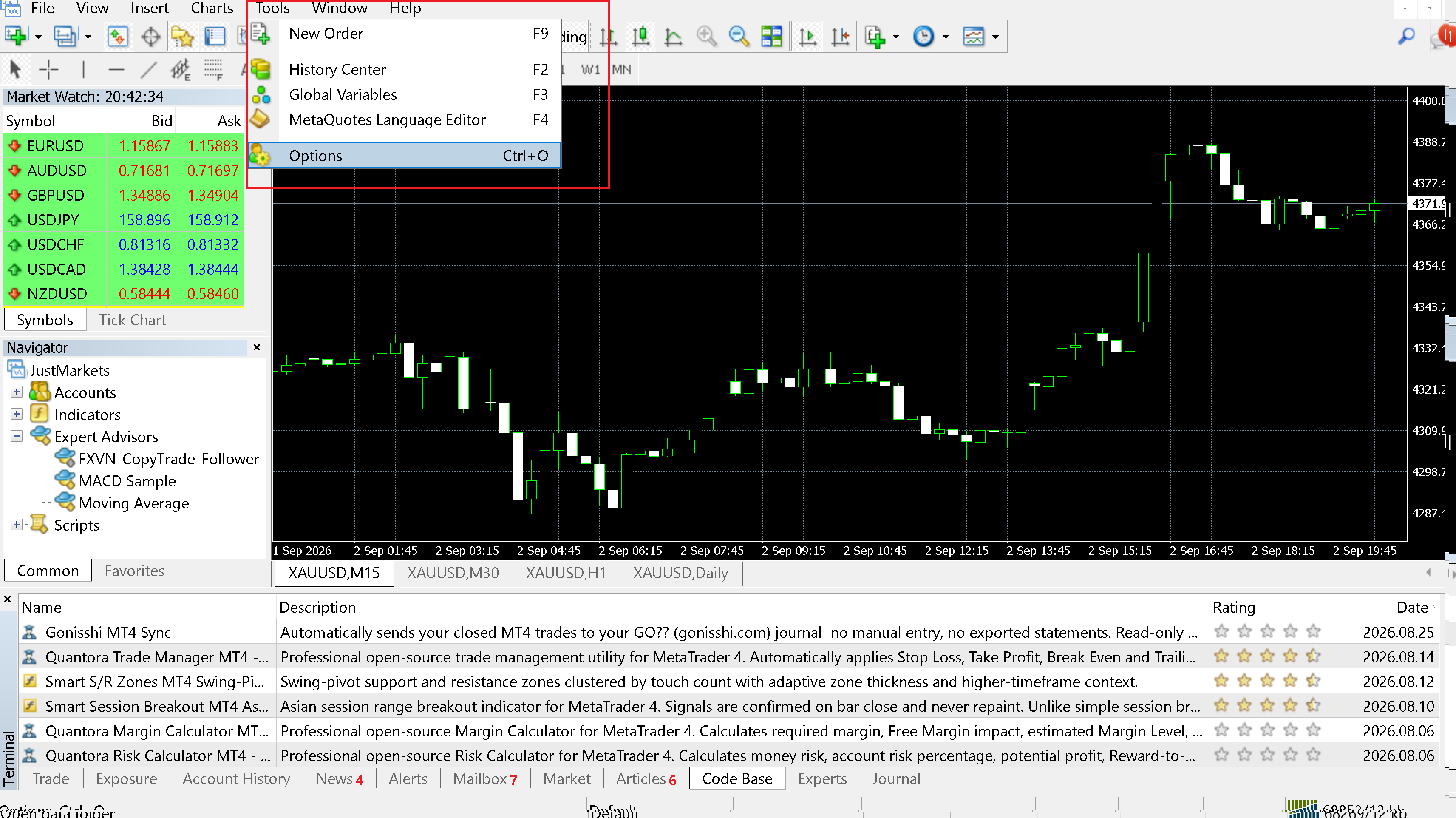 Open MetaTrader Expert Advisor options