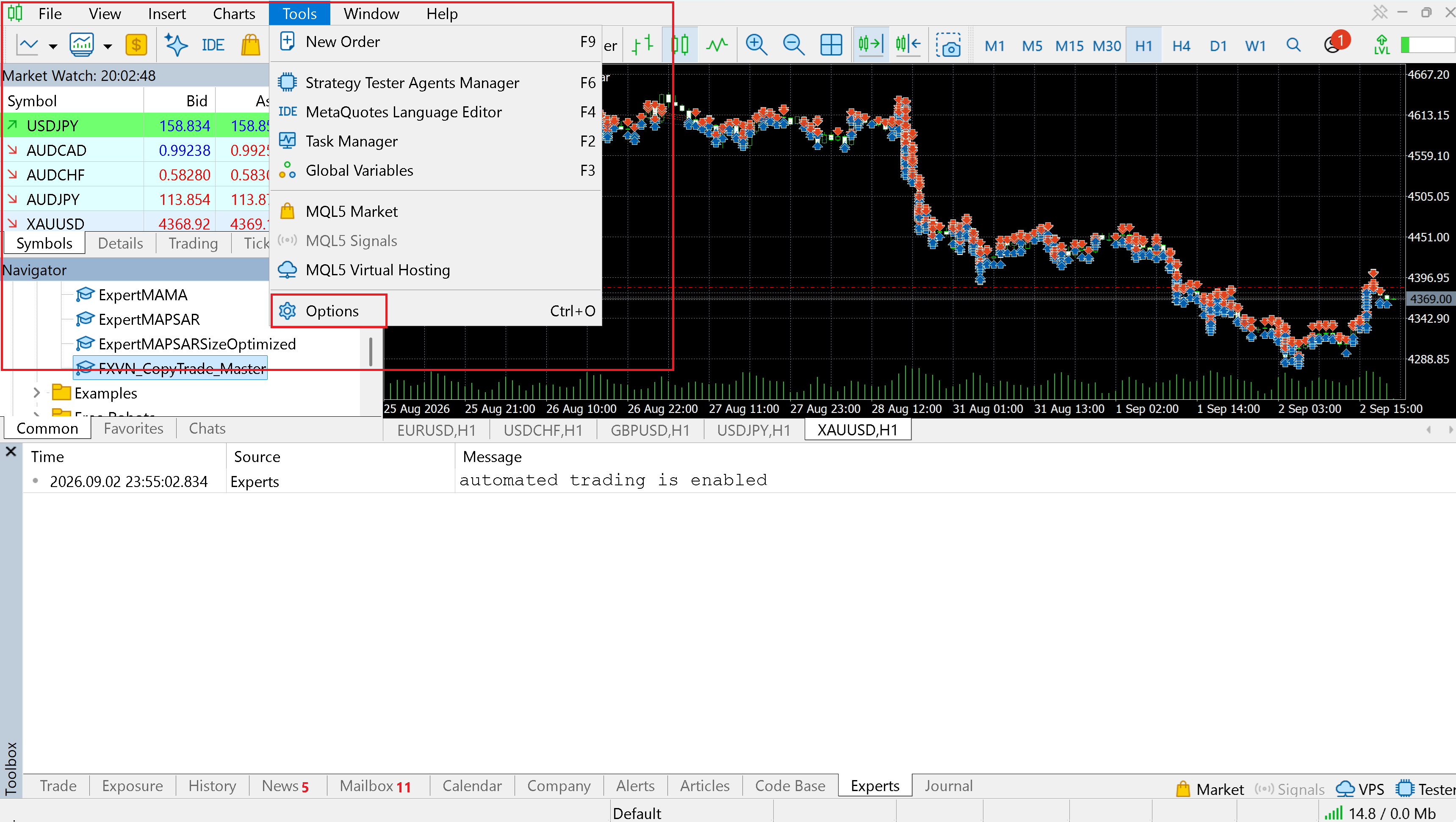 Open MetaTrader Expert Advisor settings