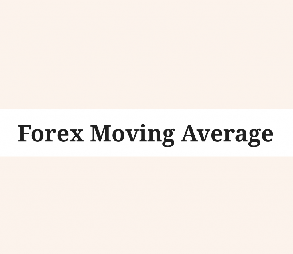 Forex Chief
