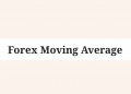 Forex Chief