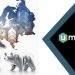 15% Referral Commission with UMarkets