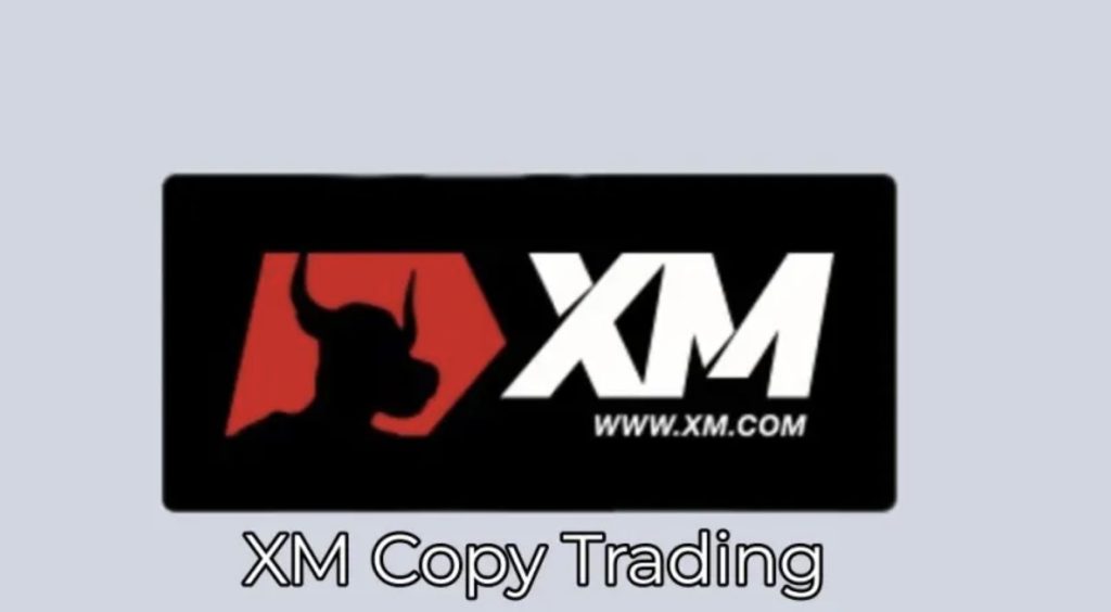 How Can You Earn Money with XM Copy Trading