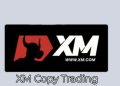 How Can You Earn Money with XM Copy Trading