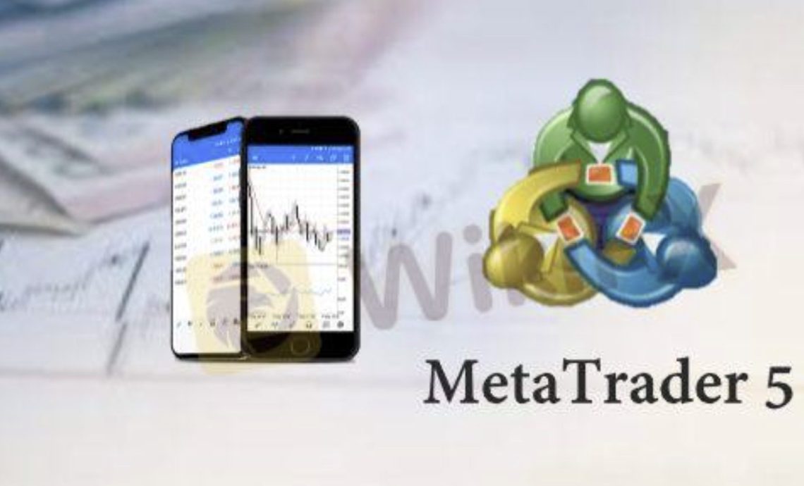 MT5 Forex Brokers