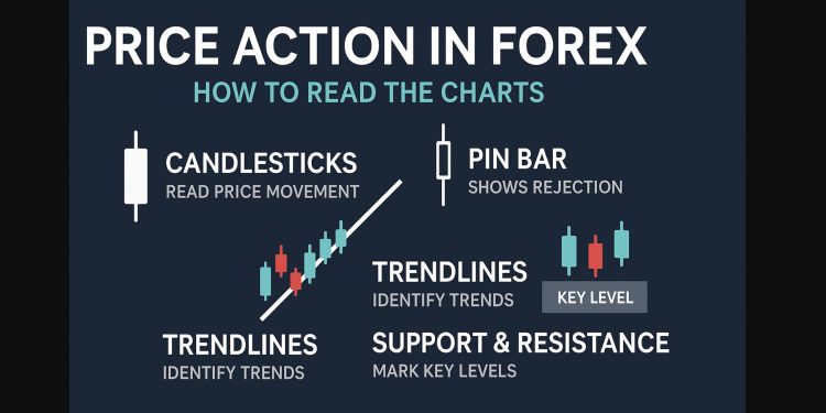 Price Action in Forex