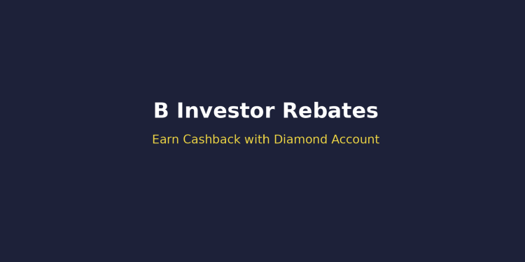 B Investor Rebates